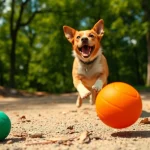 Engaging Activities with the Best Dog Ball for Dog Playtime