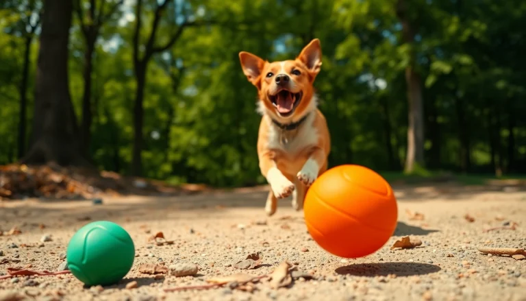 Engaging Activities with the Best Dog Ball for Dog Playtime